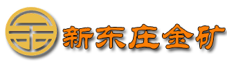 新东庄金矿有限公司